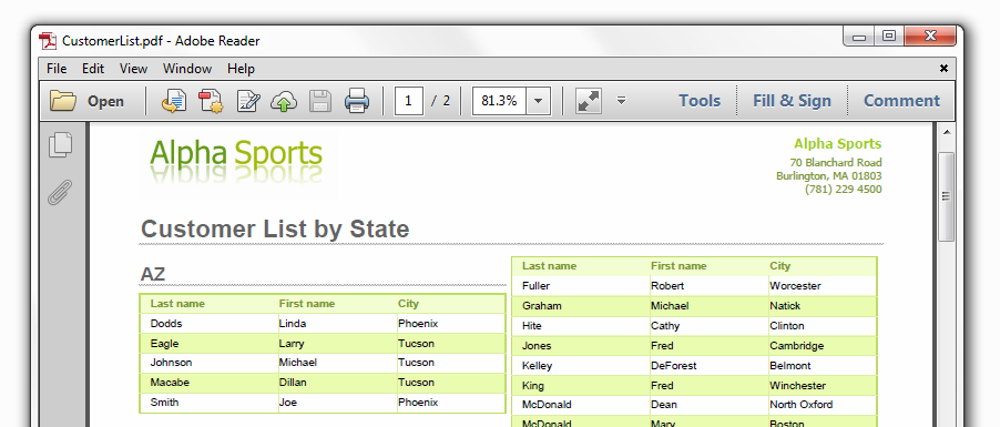 Report Pdf